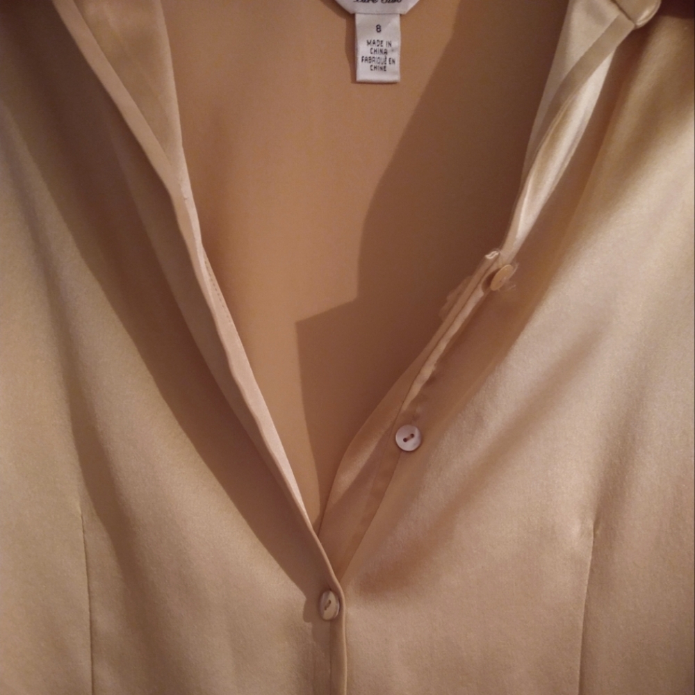 Talbot's ✨Pure Silk ✨Button-Up Blouse Size 8 - Picture 3 of 5